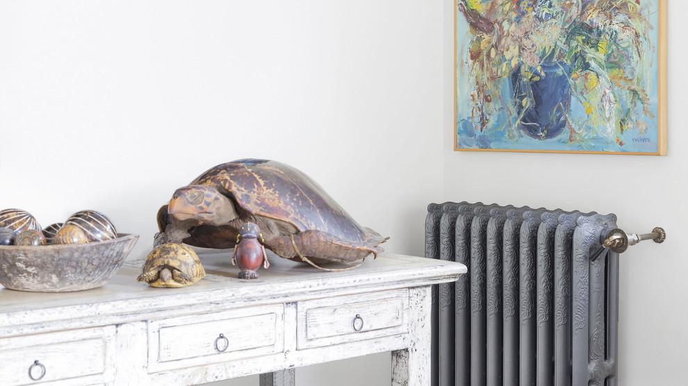 The function of art Living Room Brussels by Classic Comfort Houzz