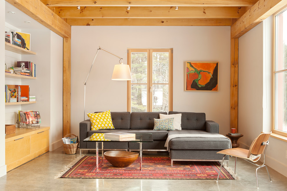 Immagine di un soggiorno design con pareti bianche e tappeto