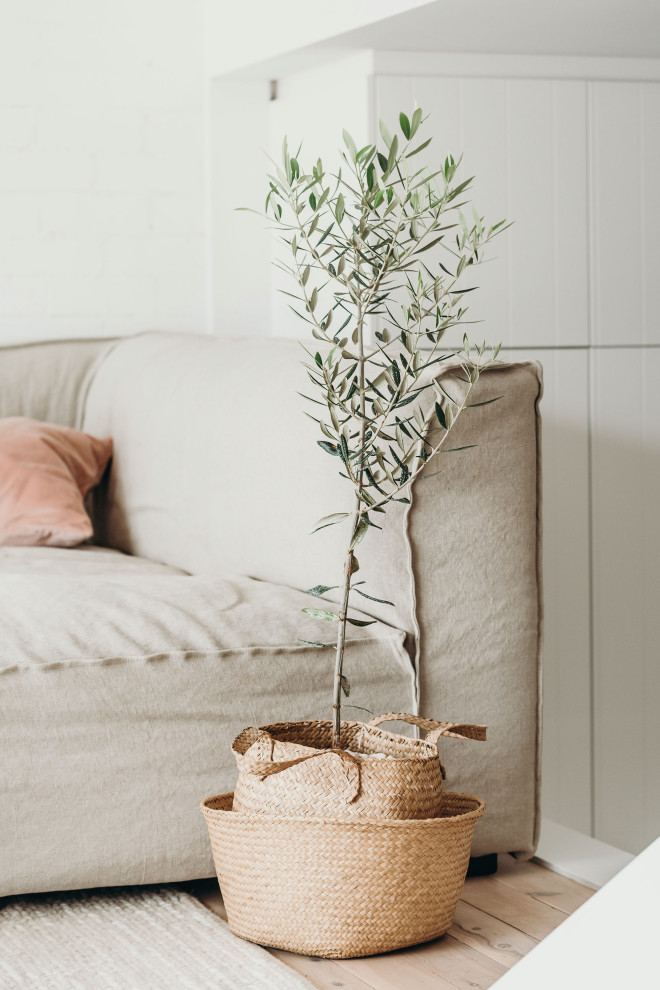 Inspiration for a scandi living room in Central Coast.