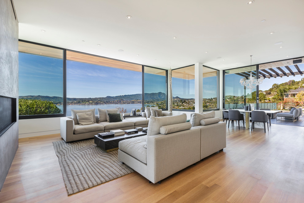 Example of a trendy medium tone wood floor and brown floor living room design in San Francisco with white walls and a ribbon fireplace