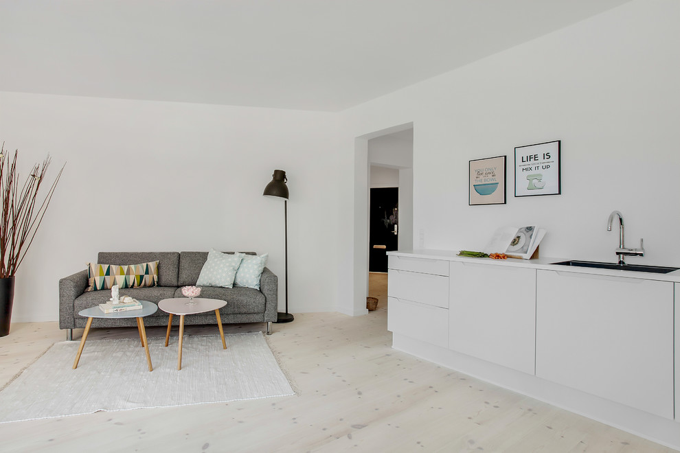 Photo of a medium sized scandi formal open plan living room in Copenhagen with white walls, light hardwood flooring and no tv.