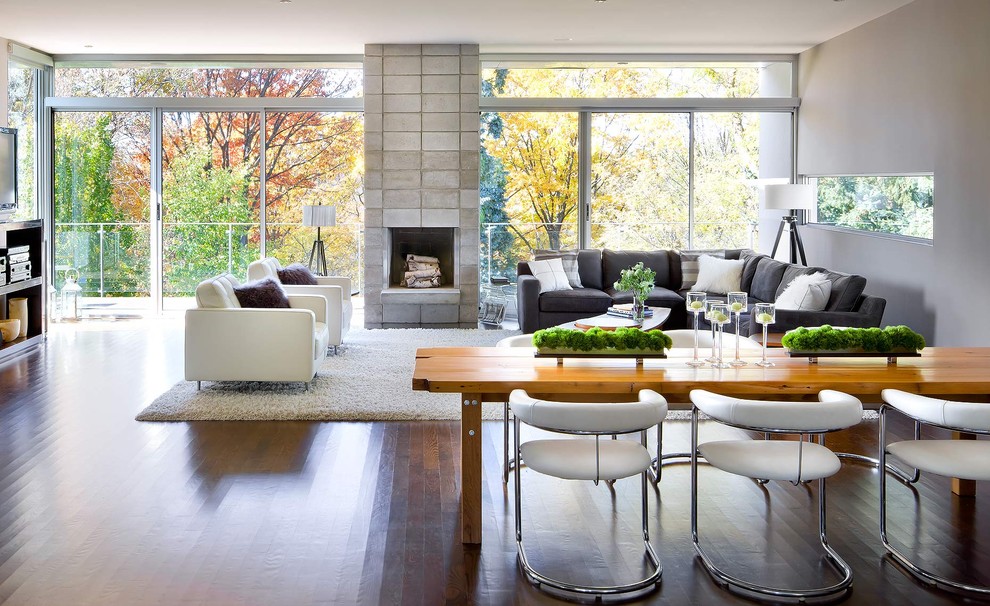 Living room - modern living room idea in Toronto