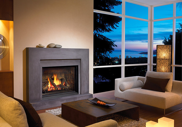 Traditional Gas Fireplaces - Contemporary - Living Room - New York - by ...