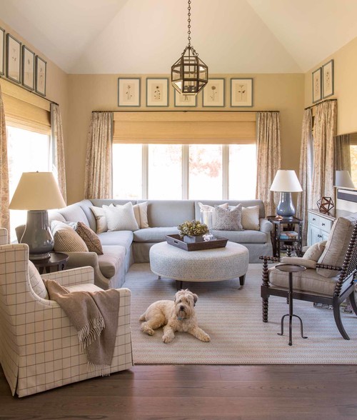 Cream colored dog in living room with blue couch and round table. 
