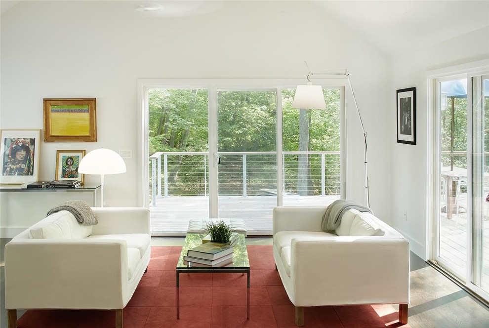 На фото: маленькая парадная, открытая гостиная комната в стиле модернизм с белыми стенами и полом из линолеума без телевизора для на участке и в саду с