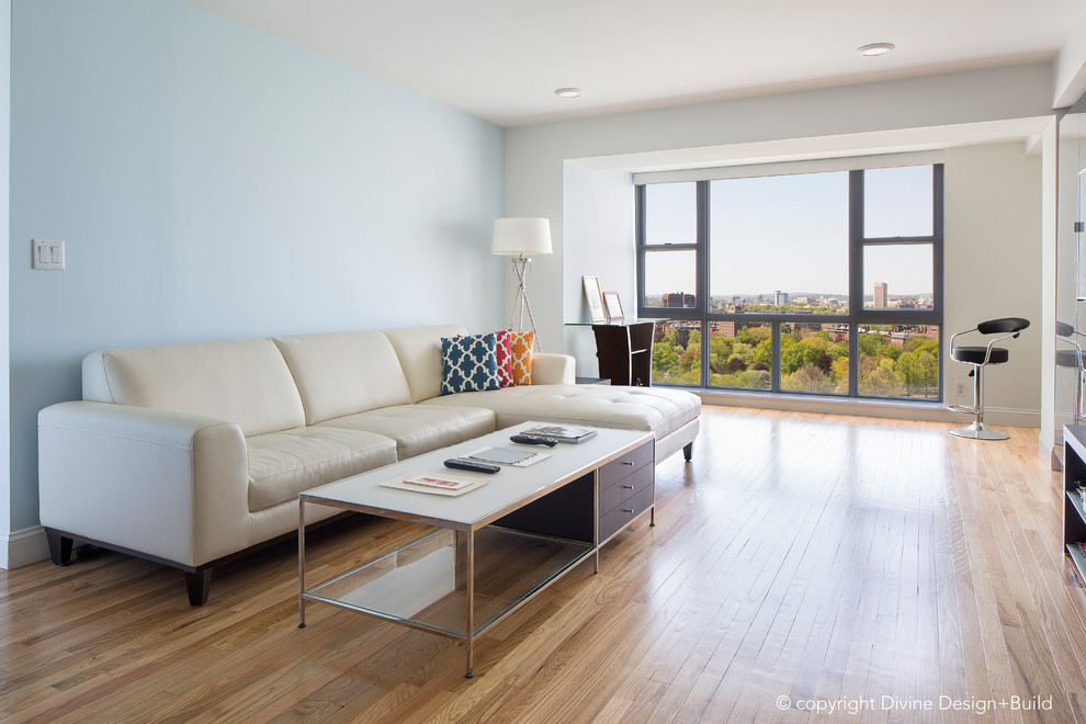 Design ideas for a small contemporary living room in Boston with blue walls, light hardwood flooring and no fireplace.