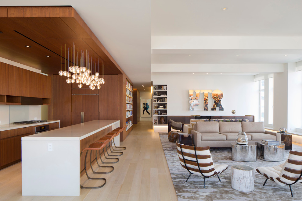 Modernes Wohnzimmer mit weißer Wandfarbe und hellem Holzboden in New York