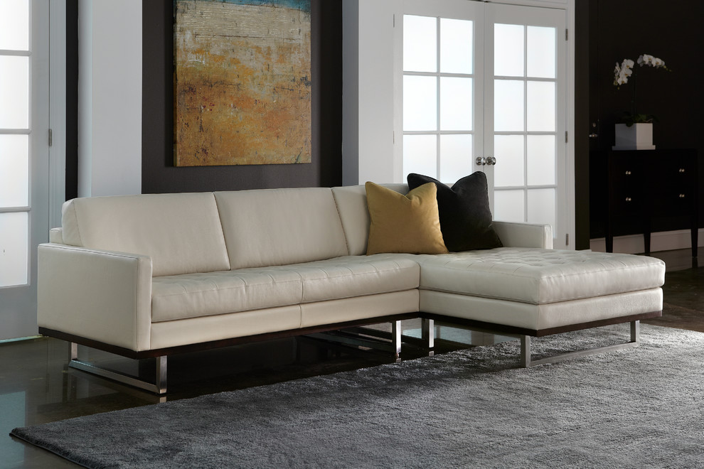 Tristan living room Contemporary Living Room Chicago by