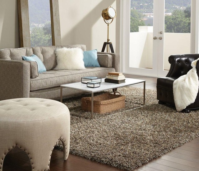 Tuftex "Bling" Contemporary Living Room Minneapolis by