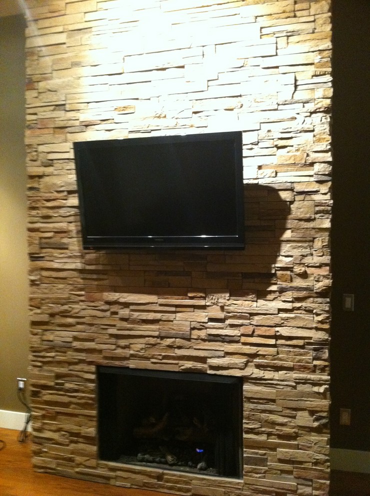 TV Mounting Ideas Modern Living Room Detroit by FPAV