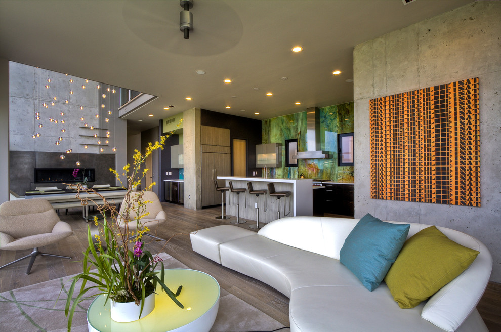 Offenes, Kleines, Repräsentatives, Fernseherloses Modernes Wohnzimmer ohne Kamin mit grauer Wandfarbe, braunem Holzboden und braunem Boden in Denver