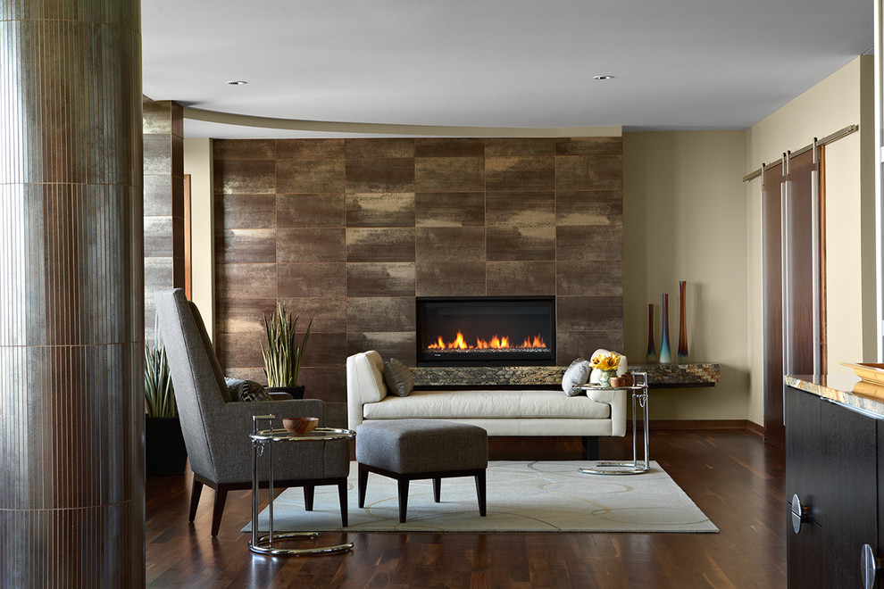 Urban Condo Fireplace Surround Modern Living Room Minneapolis