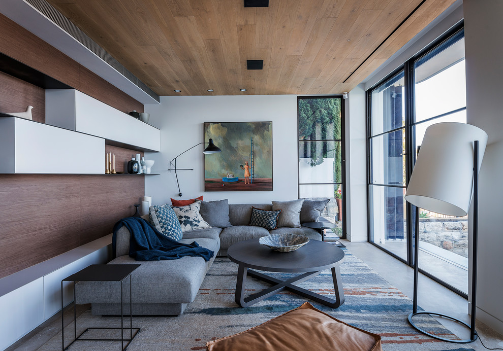 Inspiration for a mid-sized contemporary living room remodel in Sydney