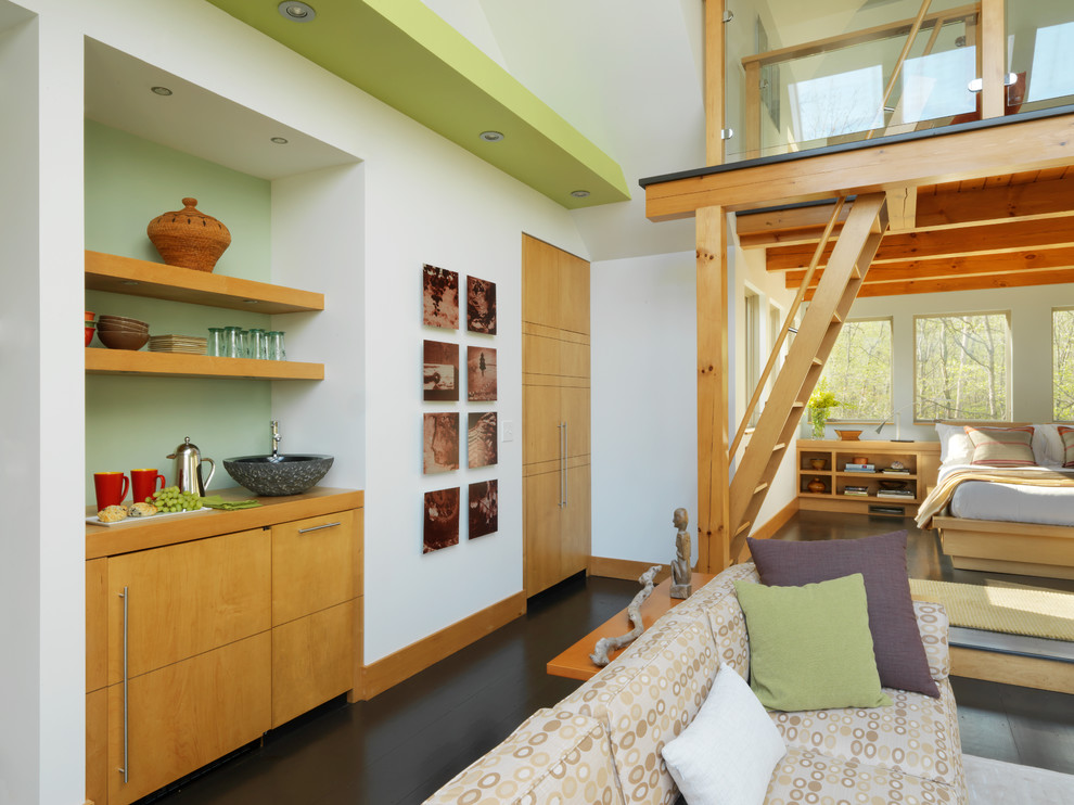 Источник вдохновения для домашнего уюта: двухуровневая гостиная комната в современном стиле с зелеными стенами без камина