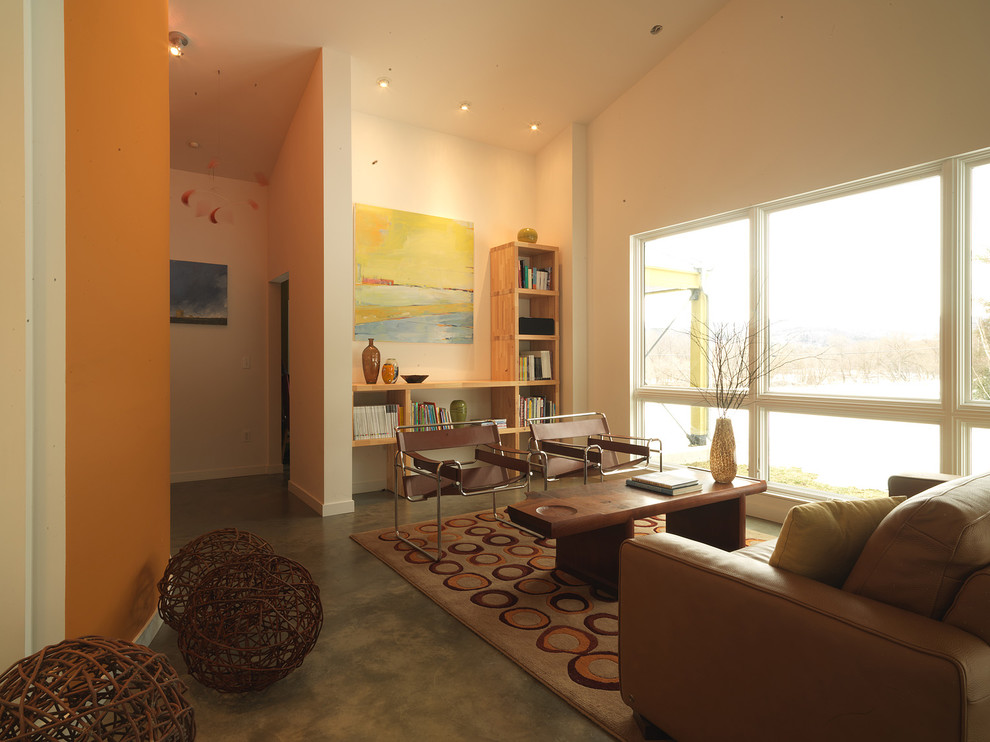 Bild på ett stort lantligt separat vardagsrum, med ett bibliotek, betonggolv och orange väggar