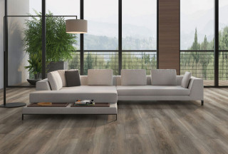 Vinyl Wood Plank Flooring Modern Living Room Philadelphia By Avalon Flooring Houzz