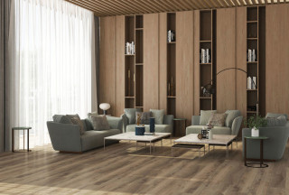 Vinyl Wood Plank Flooring Modern Living Room Philadelphia By Avalon Flooring Houzz