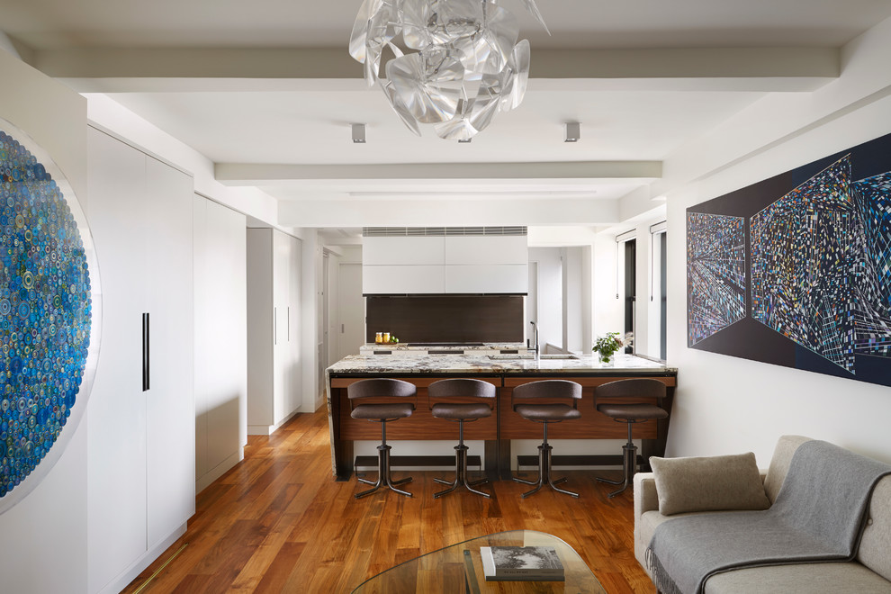 Kleines, Offenes Modernes Wohnzimmer mit weißer Wandfarbe, braunem Holzboden und verstecktem TV in New York