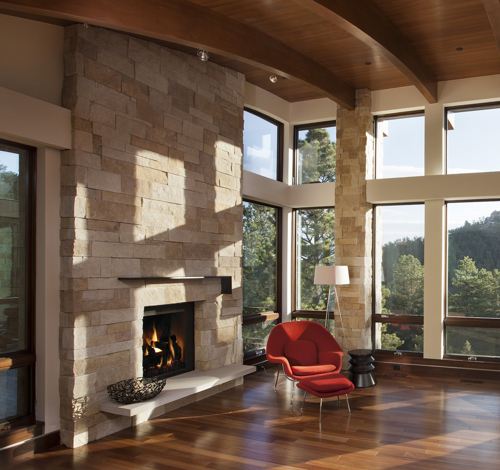Modern living room in Denver with a stone fireplace surround.