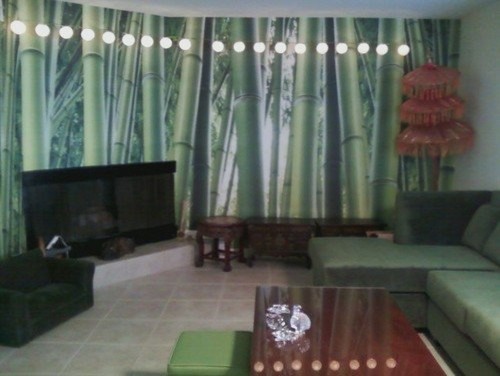 Esempio di un grande soggiorno tropicale chiuso con pareti verdi e camino ad angolo