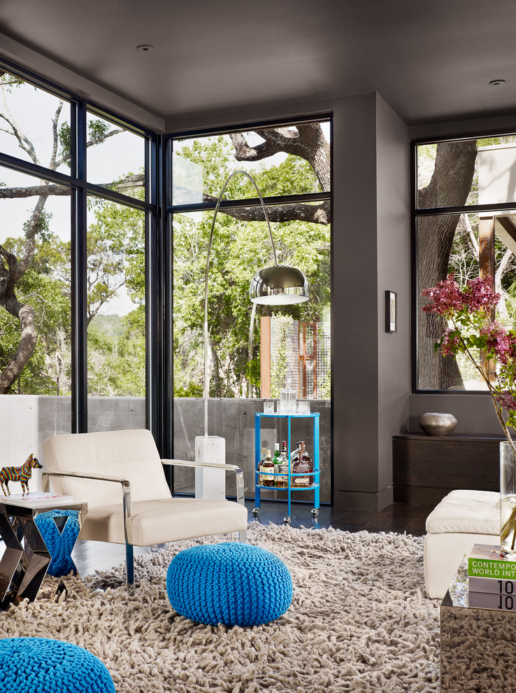 Living room - contemporary living room idea in Austin with gray walls