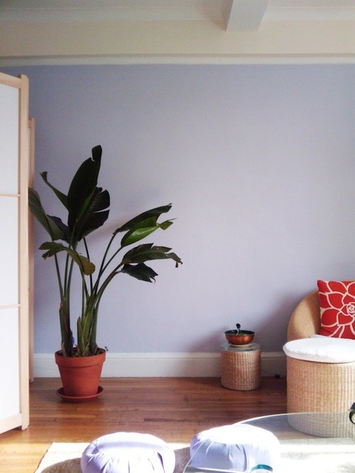 Ejemplo de salón cerrado minimalista pequeño sin chimenea y televisor con paredes púrpuras, suelo de madera en tonos medios y suelo marrón