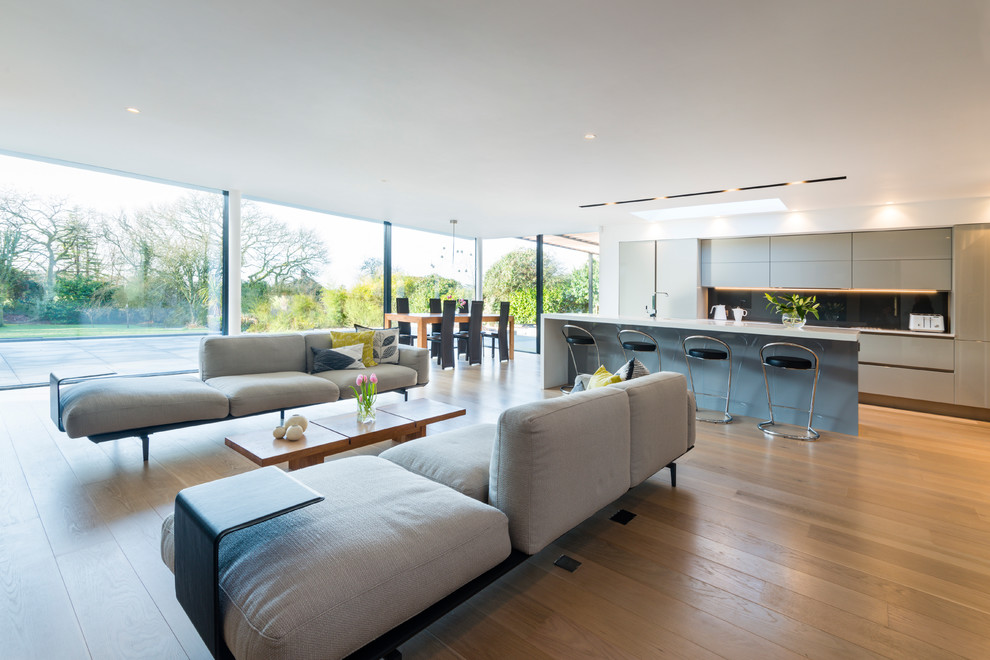 Modern living room in Devon with light hardwood flooring.