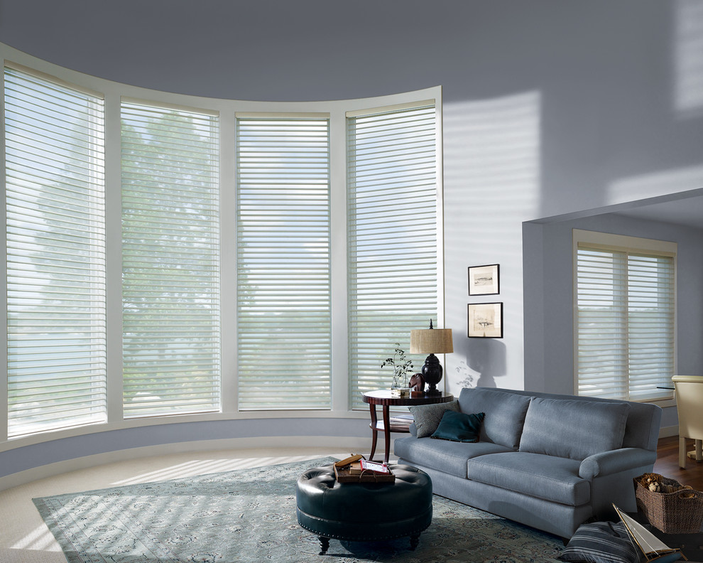 Window Covering Ideas for living room windows Contemporary Living