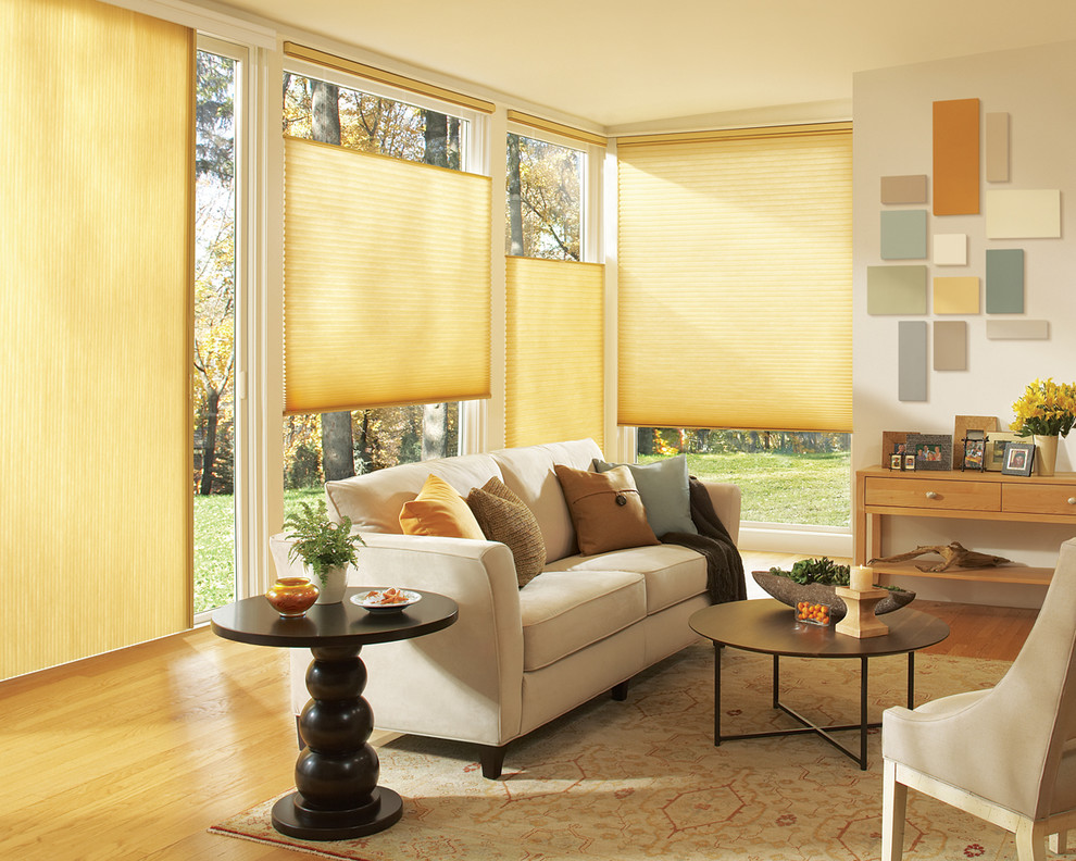 Window Coverings - Traditional - Living Room - Boston - by Lisa Scheff ...