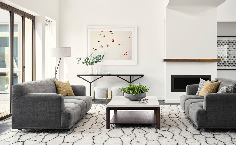 Offenes Modernes Wohnzimmer mit weißer Wandfarbe, grauem Boden und dunklem Holzboden in San Francisco