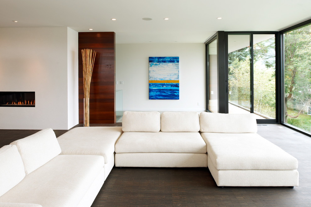 Источник вдохновения для домашнего уюта: гостиная комната в стиле модернизм с белыми стенами и горизонтальным камином