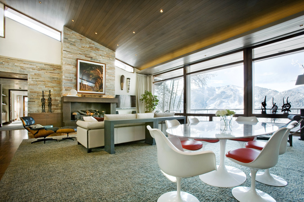 Пример оригинального дизайна: гостиная комната в современном стиле с фасадом камина из бетона