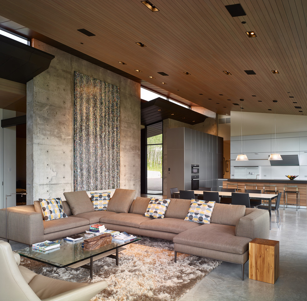 Idée de décoration pour un salon design de taille moyenne et ouvert avec sol en béton ciré et un sol gris.