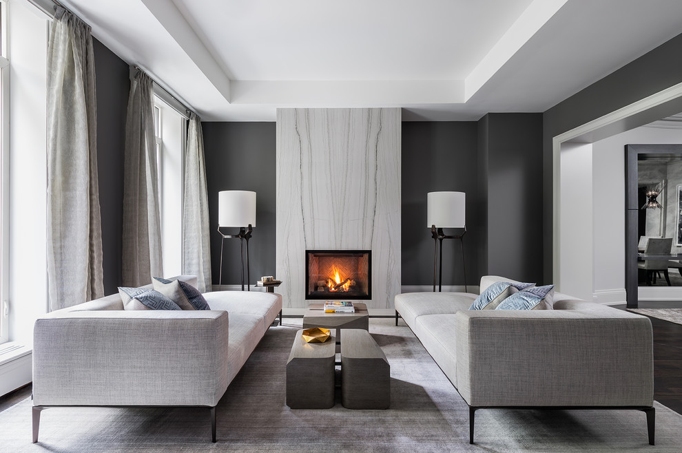 Esempio di un soggiorno minimal con sala formale, pareti grigie, camino classico, cornice del camino in pietra, pavimento nero e parquet scuro