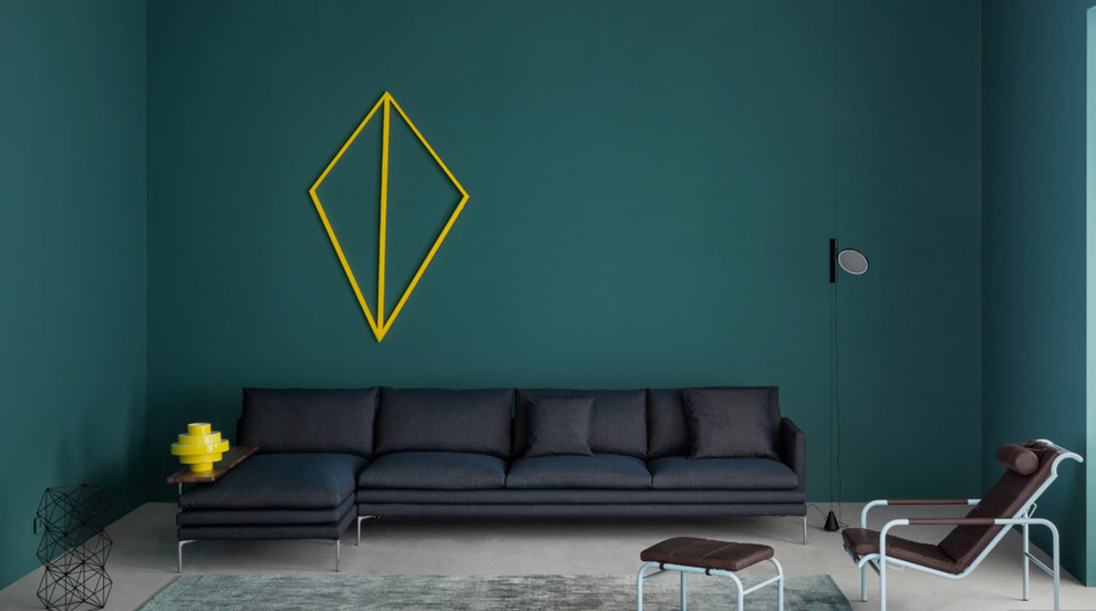 Design ideas for a contemporary living room in Denver.