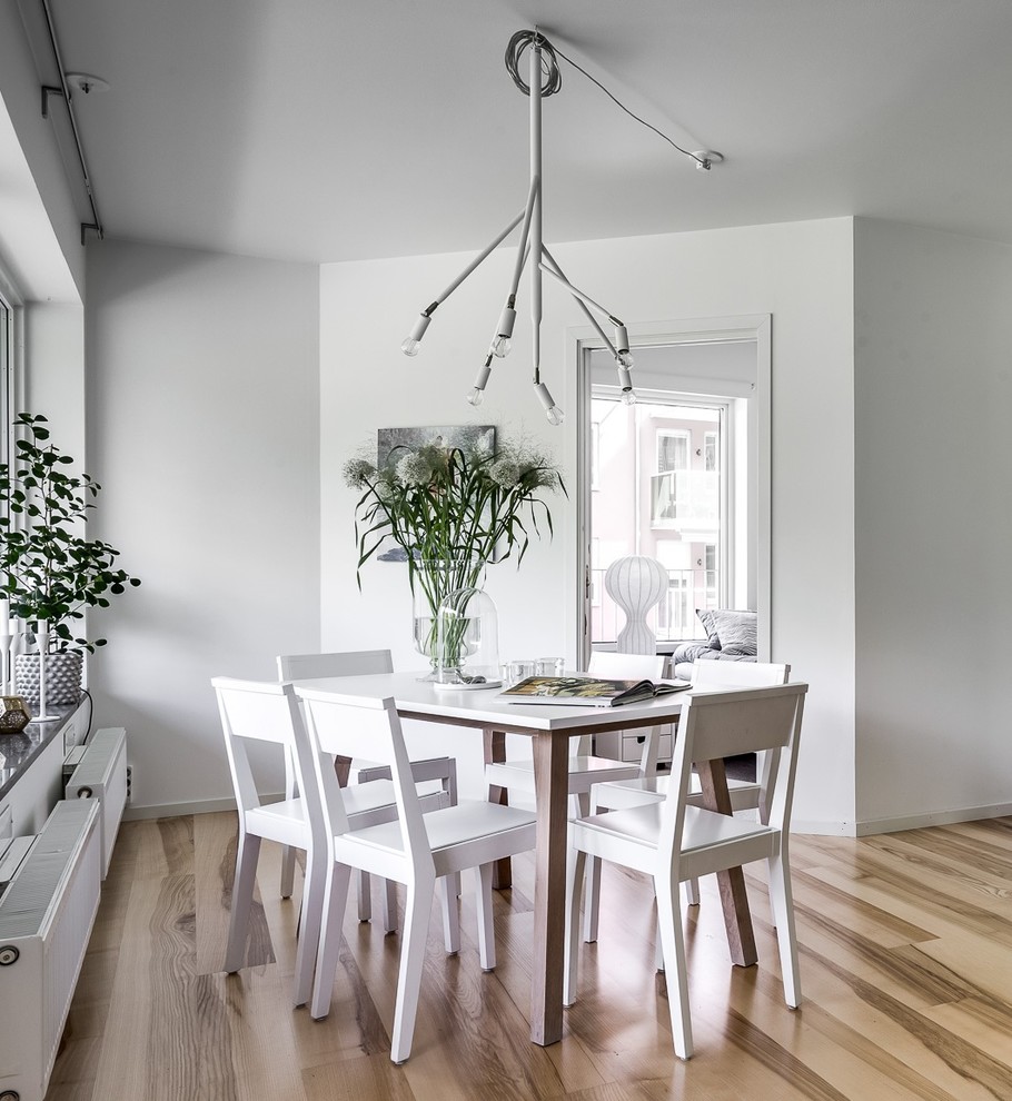 Источник вдохновения для домашнего уюта: столовая в скандинавском стиле с светлым паркетным полом, коричневым полом и белыми стенами