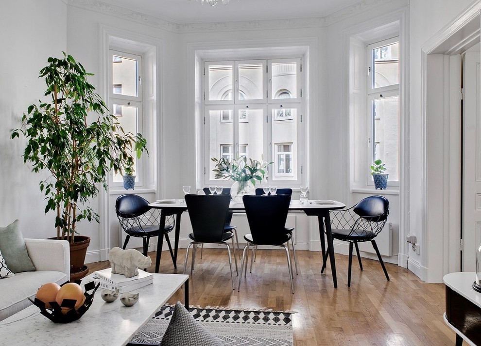 На фото: столовая среднего размера в скандинавском стиле с белыми стенами и светлым паркетным полом