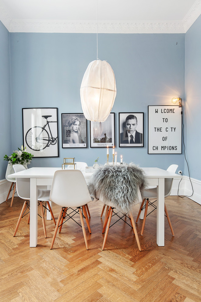Стильный дизайн: столовая среднего размера в скандинавском стиле с синими стенами и паркетным полом среднего тона без камина - последний тренд