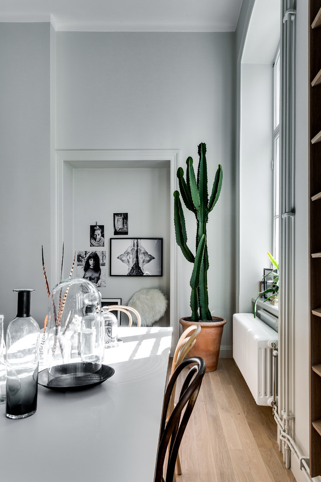 Источник вдохновения для домашнего уюта: большая гостиная-столовая в скандинавском стиле с серыми стенами и паркетным полом среднего тона