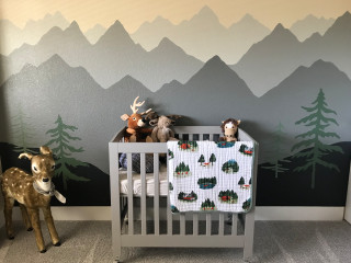 Baby Outdoor Adventure Nursery Rustic Nursery Seattle By Dezignsbyd Houzz