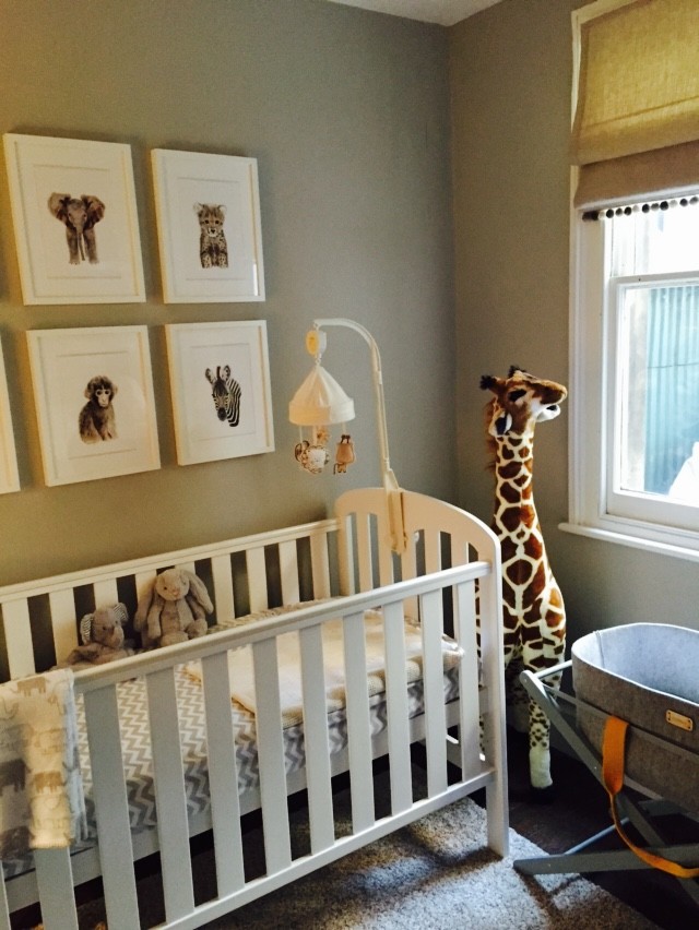 На фото: комната для малыша в современном стиле с серыми стенами, ковровым покрытием и серым полом