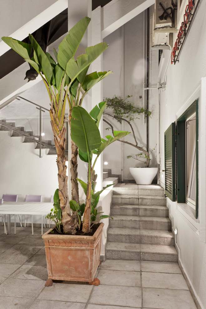 Exemple d'une terrasse avec des plantes en pots tendance de taille moyenne avec des pavés en pierre naturelle et une cour.