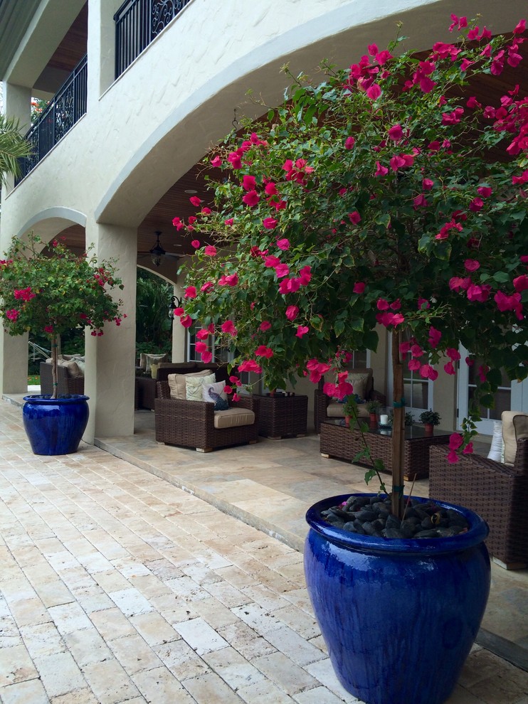 Example of a large trendy side yard stone patio design in Miami