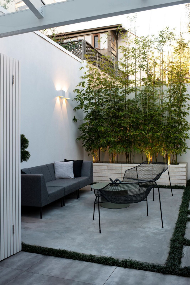 Exemple d'une petite terrasse arrière tendance avec une dalle de béton et aucune couverture.