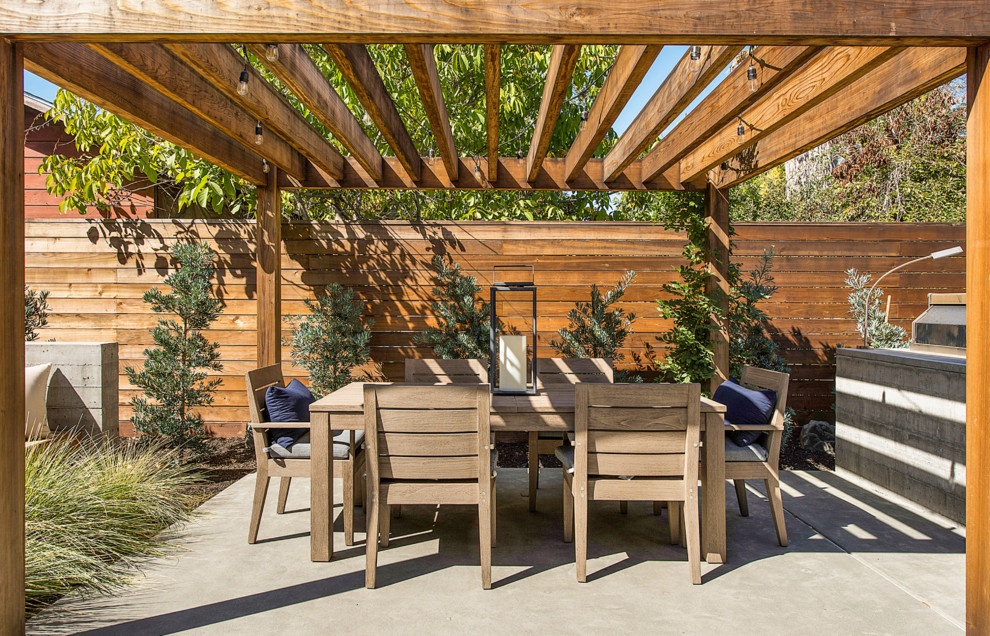 Photo of a farmhouse back patio in San Francisco with concrete slabs and a pergola.