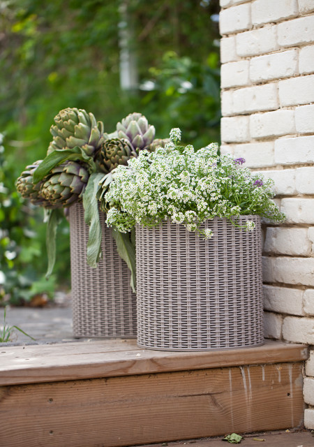 3-Piece Keter Cylinder Resin Rattan Planter by Keter, Beige - Scandinavian  - Patio - Indianapolis - by keter | Houzz