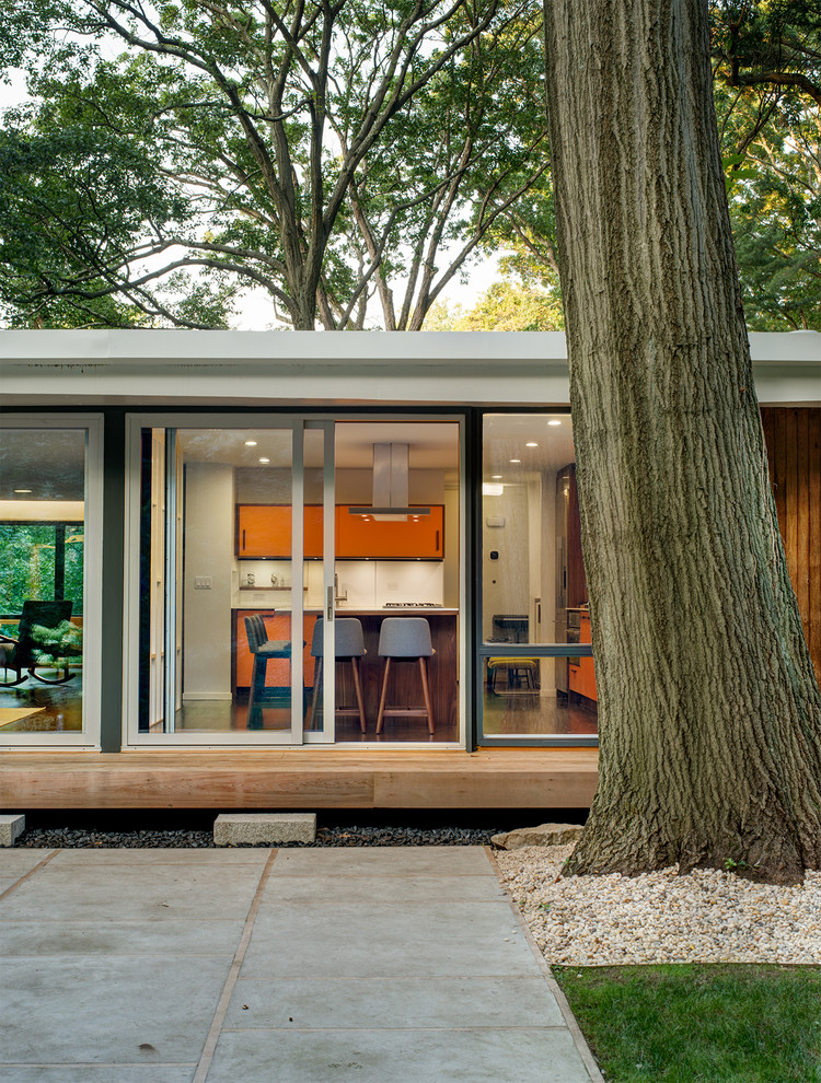 Стильный дизайн: двор среднего размера на заднем дворе в стиле ретро с покрытием из бетонных плит без защиты от солнца - последний тренд