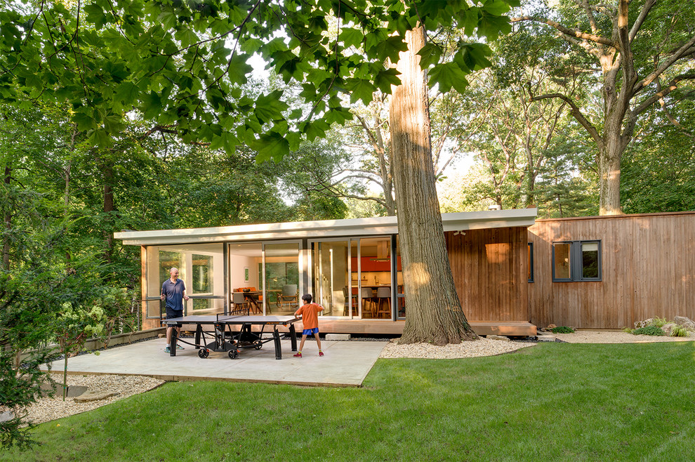 Свежая идея для дизайна: двор среднего размера на заднем дворе в стиле ретро с покрытием из бетонных плит без защиты от солнца - отличное фото интерьера