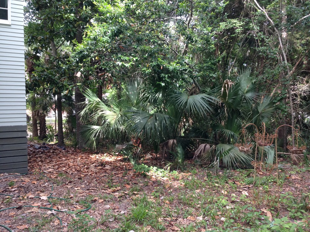 Mittelgroßer Uriger Garten neben dem Haus mit Wasserspiel und Betonboden in Miami