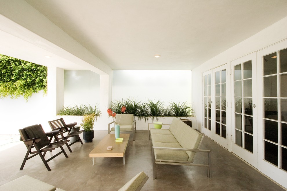 Ispirazione per un patio o portico minimalista con un tetto a sbalzo